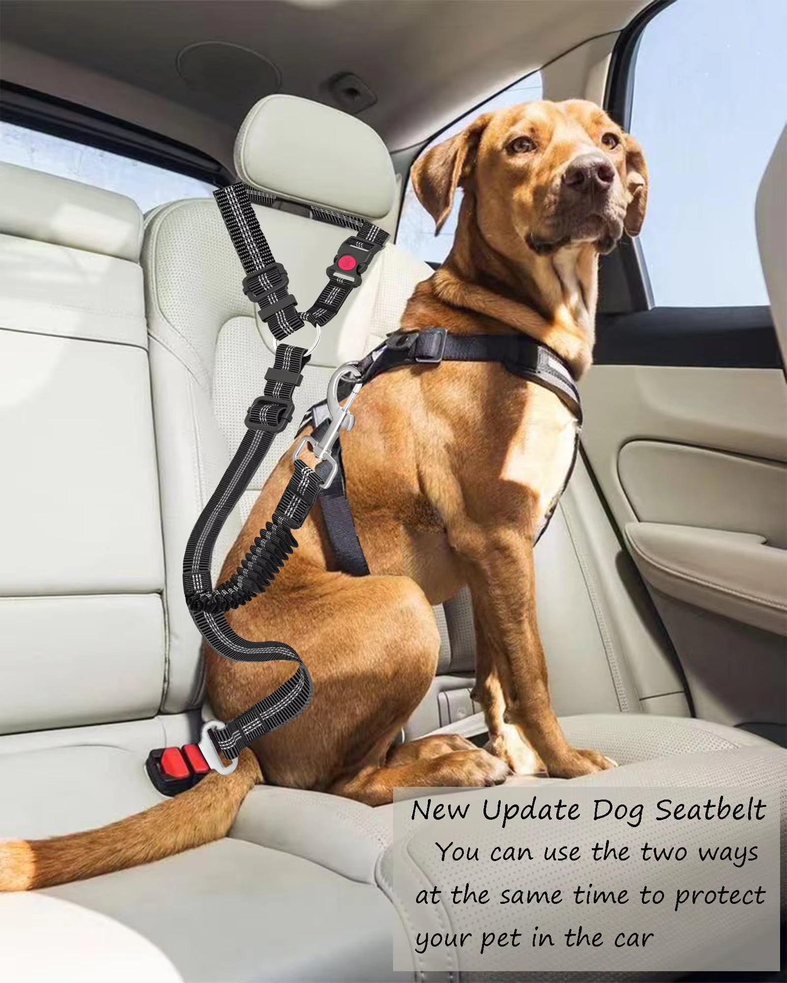Adjustable and Heavy Duty Dog Car Seat Belt - Striped Nylon Large Dog Traction Rope for Car Rides
